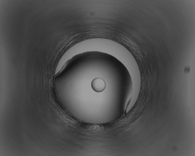 X0000095520421200801041227