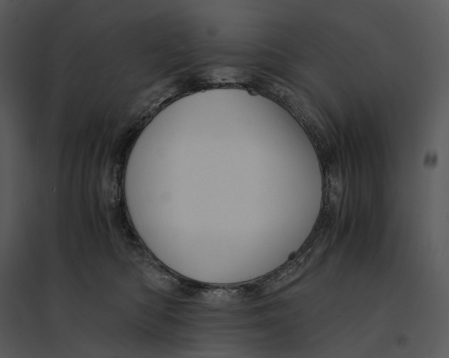 X0000095520422200801041227