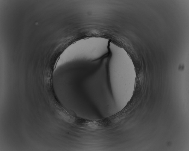 X0000095520423200801041227