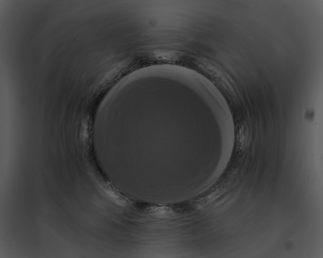 X0000095520424200801041227