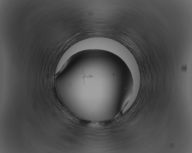 X0000095520425200801041227