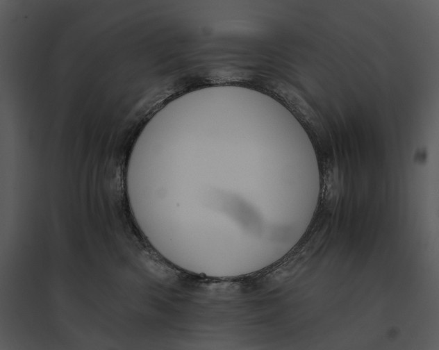 X0000095520426200801041227