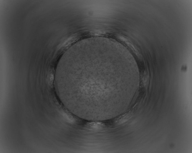 X0000095520427200801041227