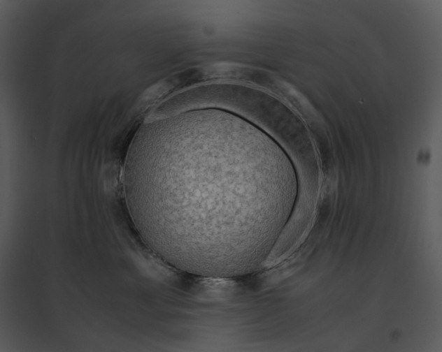 X0000095520429200801041227