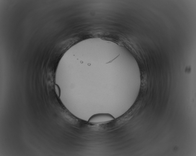 X0000095520430200801041227