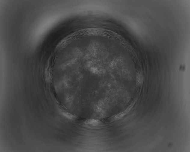 X0000095520431200801041227