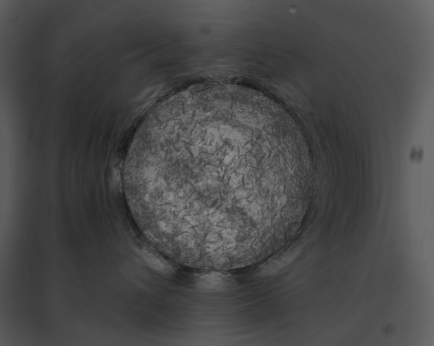 X0000095520432200801041227