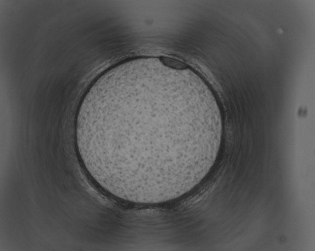 X0000095520433200801041226