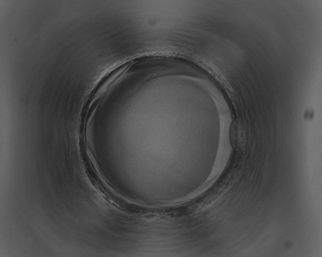 X0000095520434200801041226