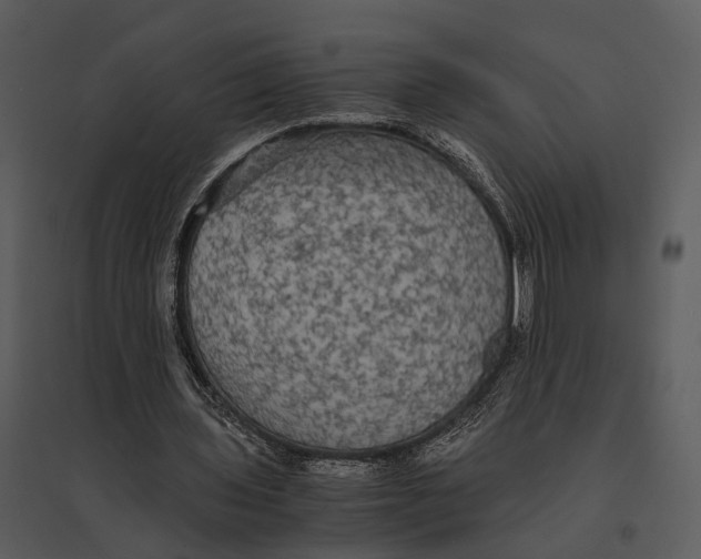 X0000095520435200801041226