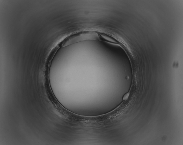 X0000095520436200801041226