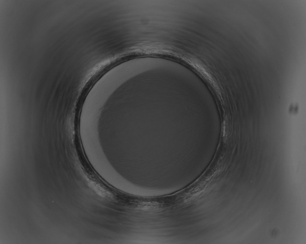 X0000095520438200801041226