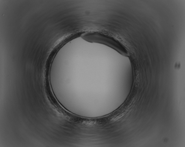 X0000095520440200801041226