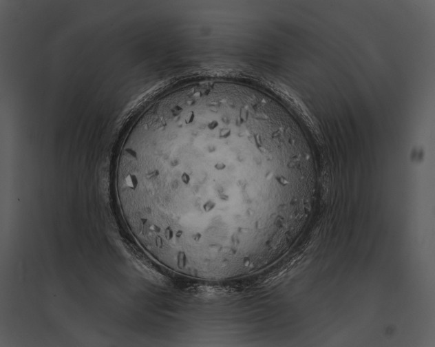 X0000095520442200801041226