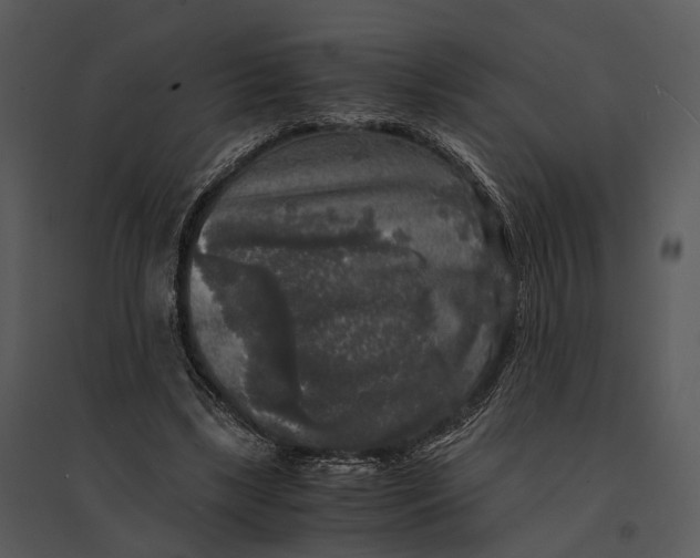 X0000095520443200801041226