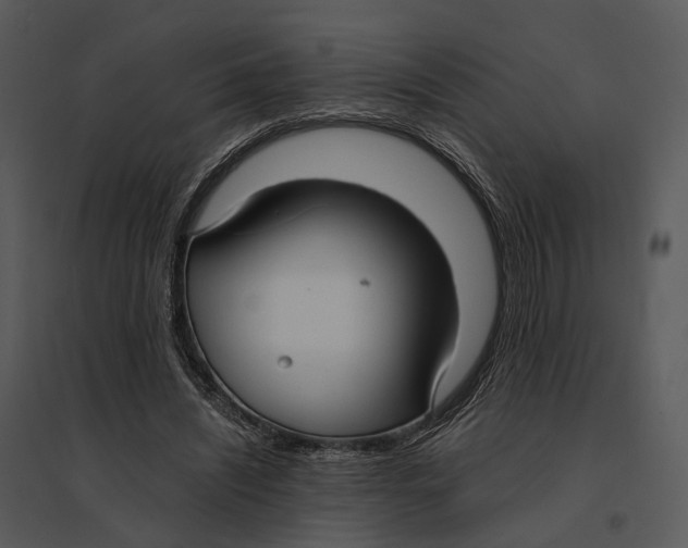 X0000095520444200801041226