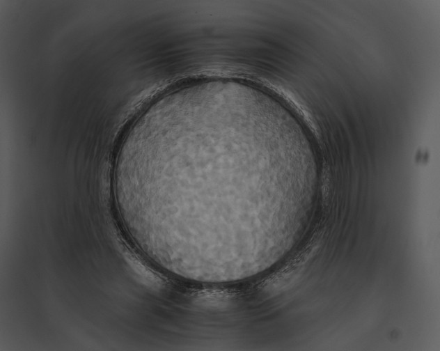 X0000095520445200801041226