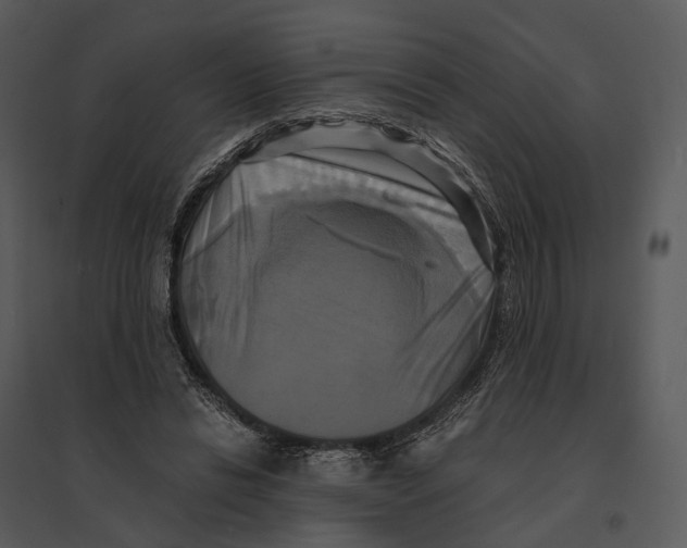 X0000095520446200801041226