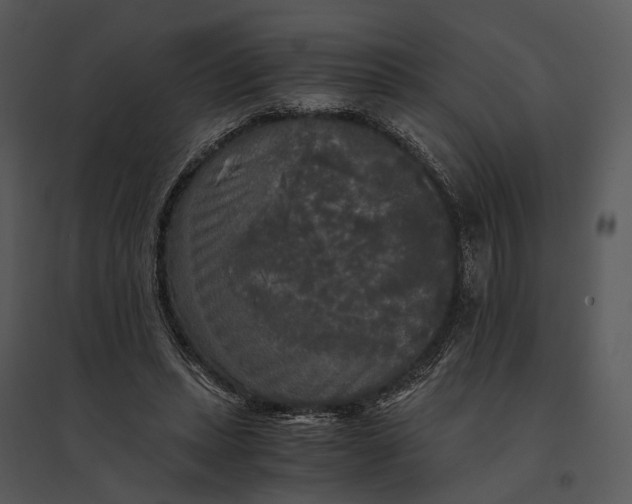 X0000095520447200801041226