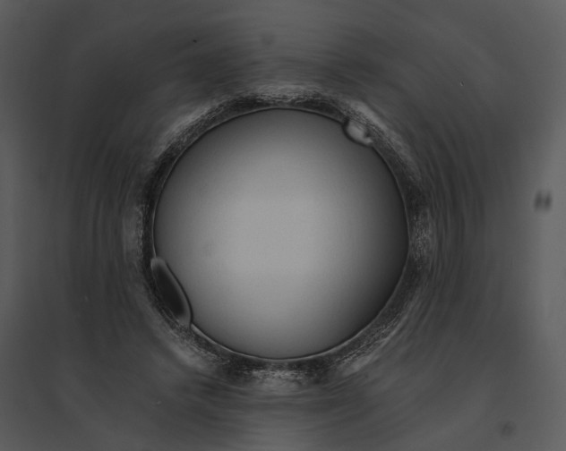 X0000095520448200801041226