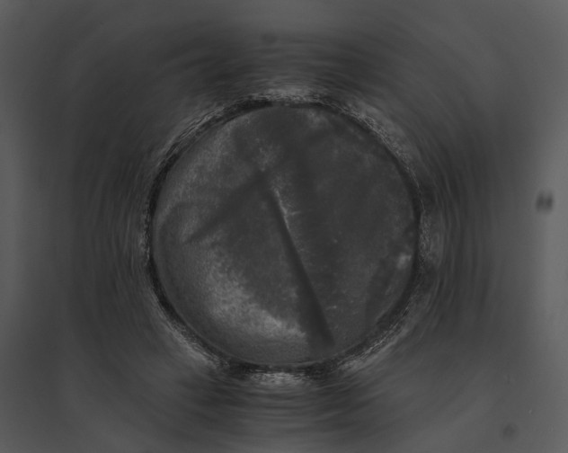 X0000095520449200801041226