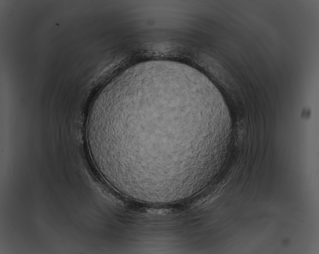 X0000095520450200801041226