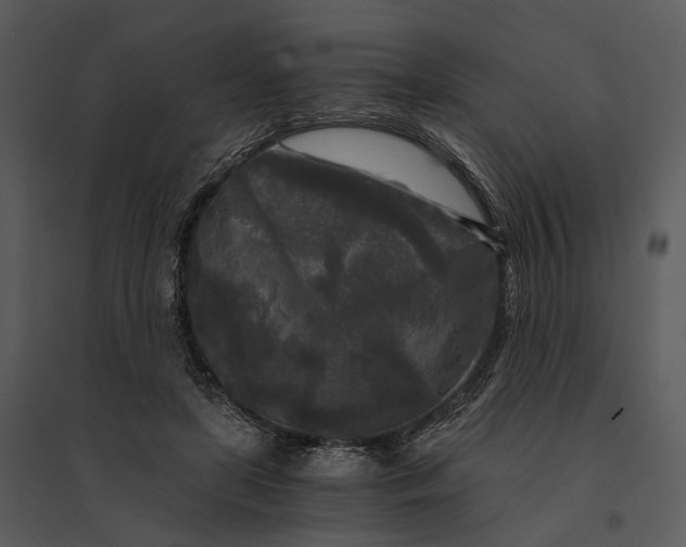 X0000095520451200801041226