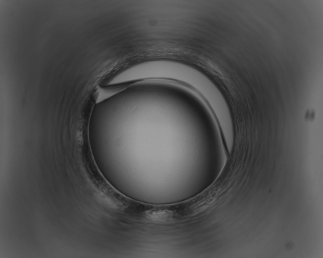 X0000095520452200801041226