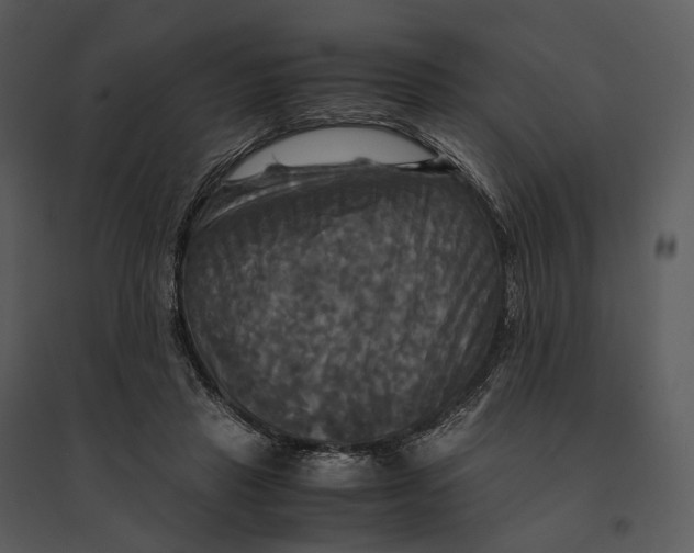 X0000095520453200801041226