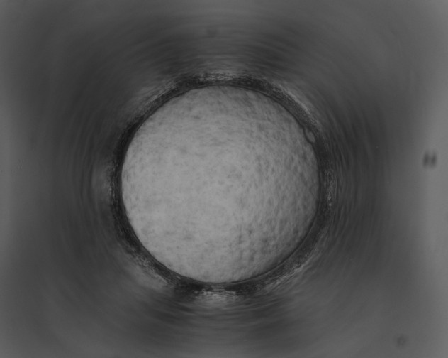 X0000095520455200801041226