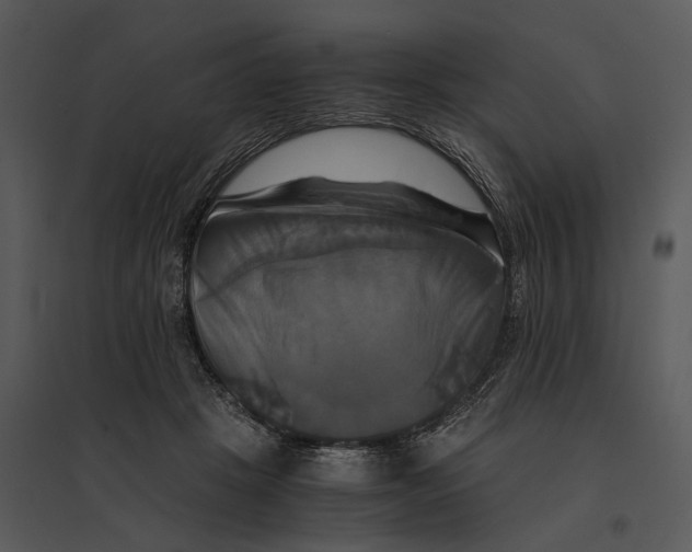 X0000095520457200801041227