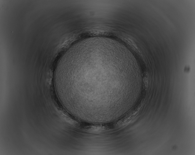 X0000095520458200801041227