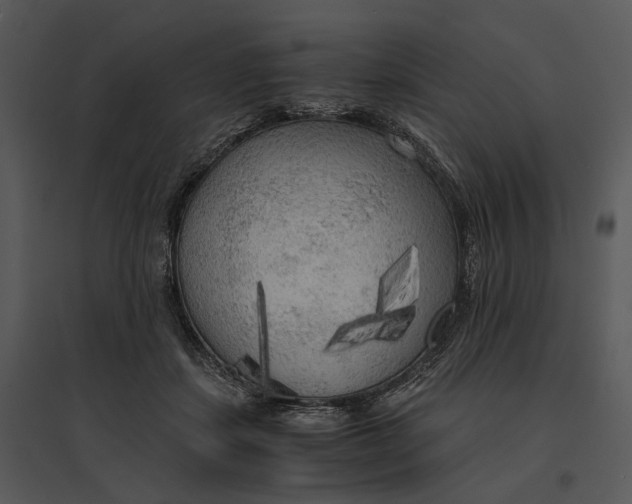 X0000095520459200801041227