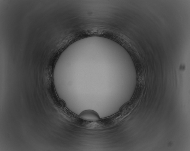 X0000095520460200801041227