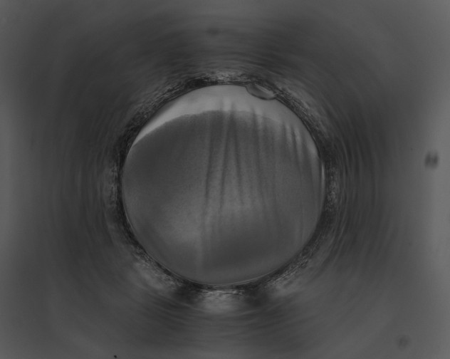 X0000095520461200801041227