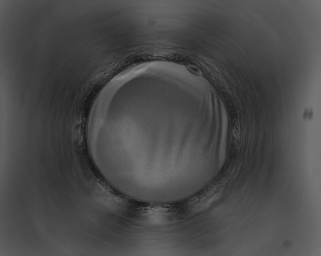 X0000095520462200801041227