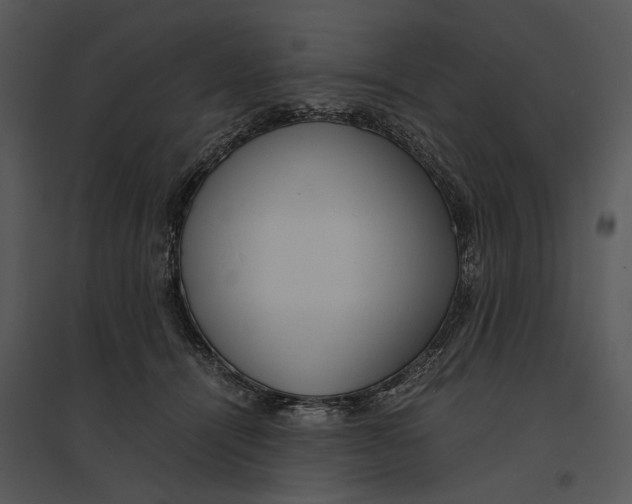 X0000095520464200801041227