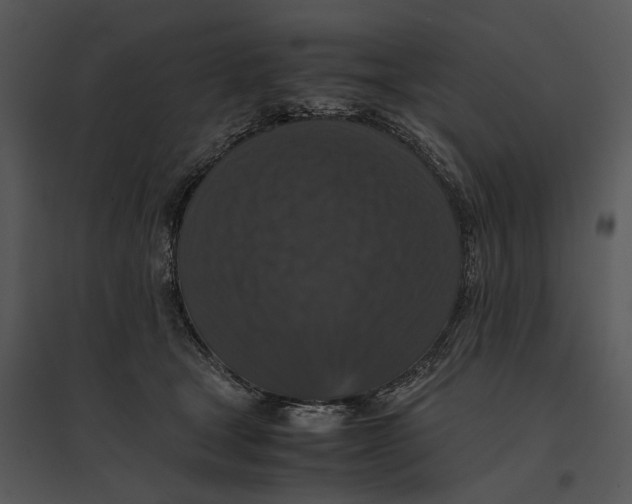 X0000095520465200801041227