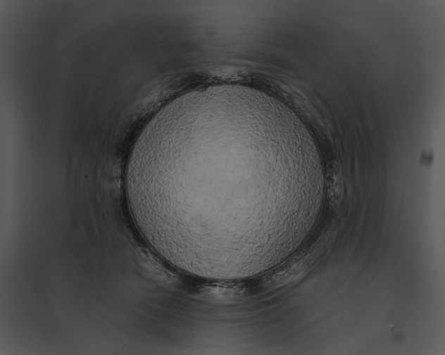 X0000095520466200801041227