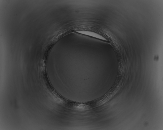 X0000095520467200801041227