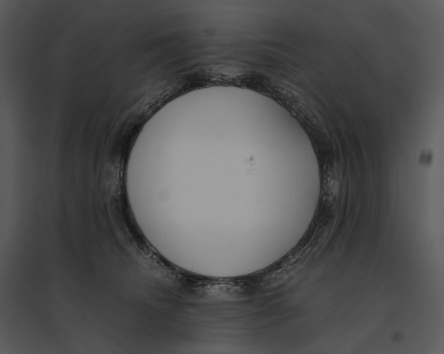 X0000095520468200801041227