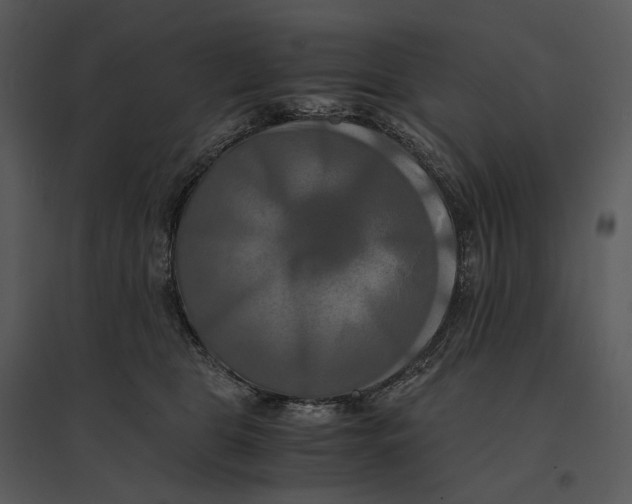 X0000095520469200801041227