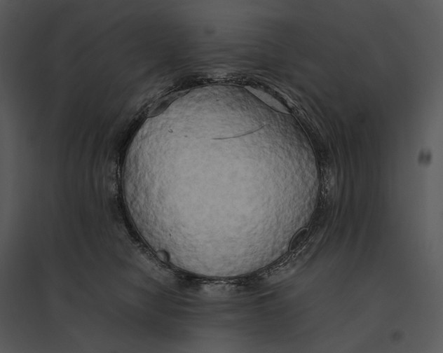 X0000095520470200801041227