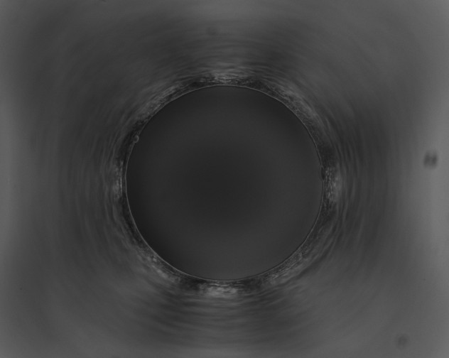 X0000095520471200801041227