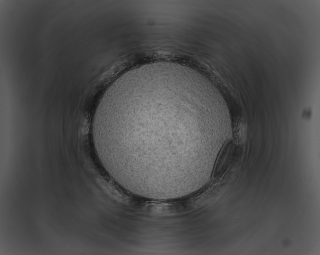 X0000095520472200801041227