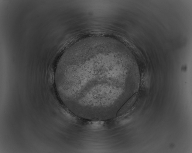 X0000095520474200801041227