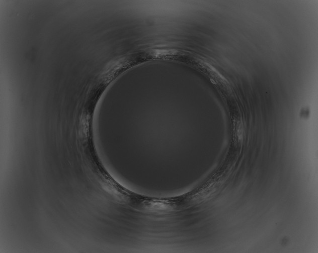 X0000095520475200801041227