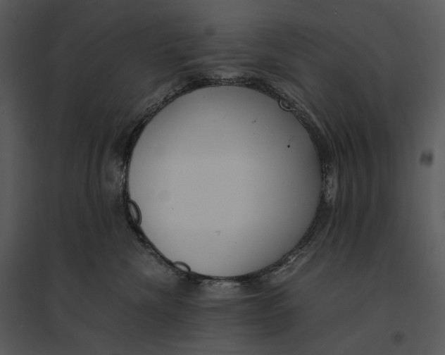 X0000095520476200801041227