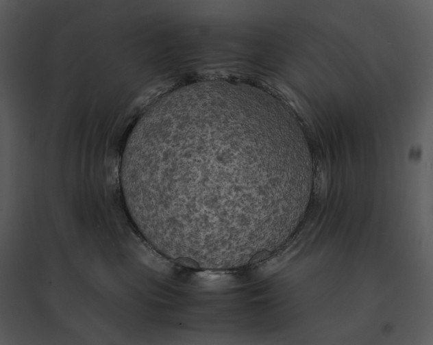 X0000095520477200801041227