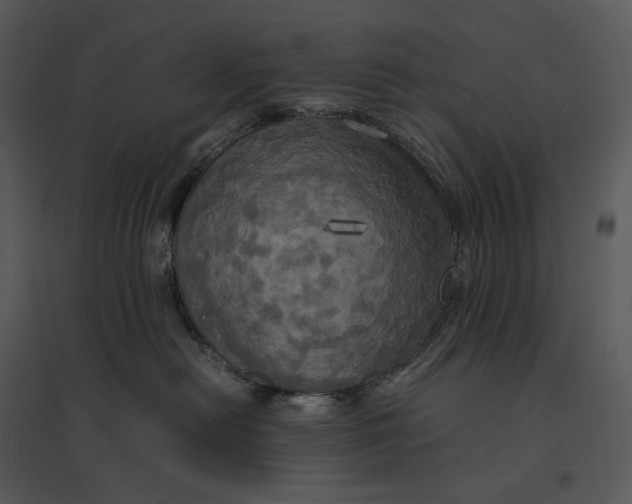 X0000095520478200801041227